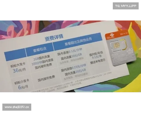 上海交通卡联合宝可梦推精灵球造型交通卡 超还原!